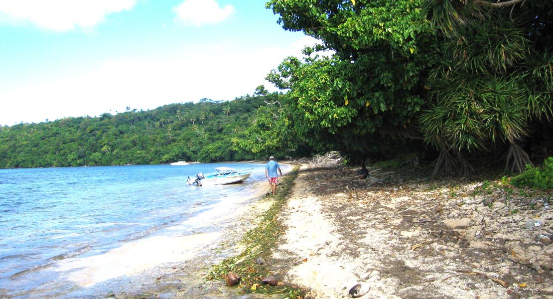 Kapa Island beach, Tonga SouthPacificRealEstate